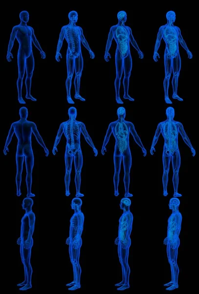 12幅高分辨率全息X射线在1幅图像中呈现 人体骨骼和器官 生理学检查概念 数字医学3D图像在黑色上分离 — 图库照片