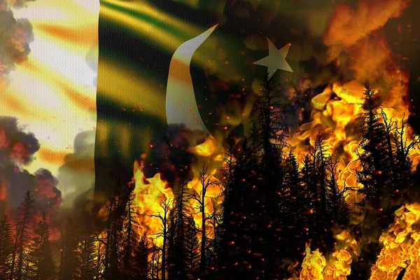 Forest Fire Natural Disaster Concept Heavy Fire Trees Pakistan Flag — Stock Photo, Image