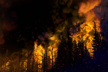 Orman çatışması konsepti, doğal afet - siyah arka planda yanan ateş - doğanın 3 boyutlu gösterimi