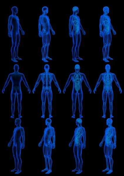 Ray Hologram Renders Male Body Skeleton Internal Organs Hospital Concept — Stockfoto