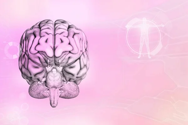 Illustration Médicale Cerveau Humain Concept Travail Alzheimer Arrière Plan Électronique — Photo