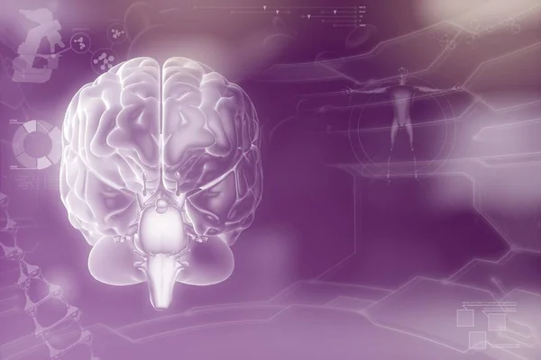 Human brain, cerebrum study concept - detailed electronic background, medical 3D illustration