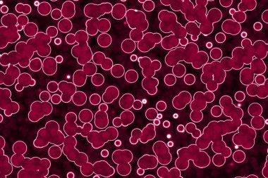 Güzel kırmızı çok renkli biyolojik lambent şablonu dijital olarak yapılmış desen çizimi