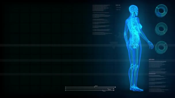 Healthcare Seamless Looping Background Ray Human Body Digital Text Effects — Stock Video