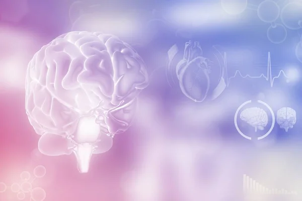 Medicinsk Illustration Mänsklig Hjärna Hjärnkirurgi Studie Koncept Detaljerad Modern Struktur — Stockfoto