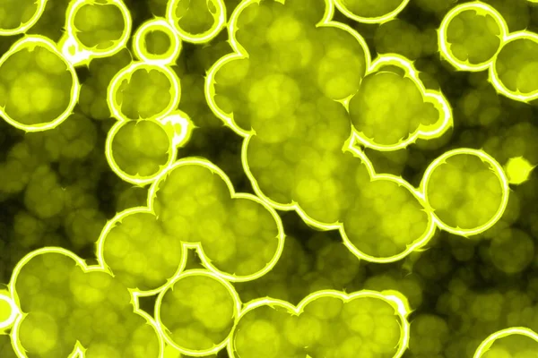 Kreatywny Nowoczesny Żółty Żywy Bio Lambent Światła Wzór Cyfrowo Wykonane — Zdjęcie stockowe