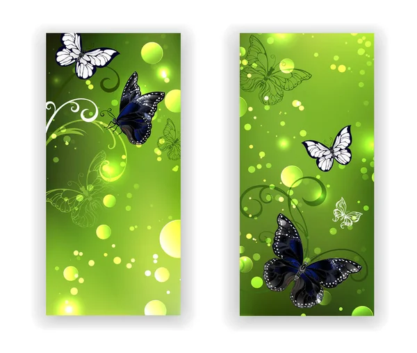 两个长方形横幅与黑蝴蝶在绿色发光背景 设计与蝴蝶 — 图库矢量图片