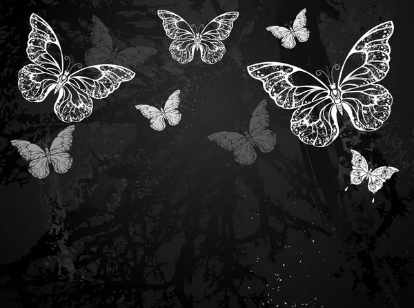 蝴蝶在黑色黑板上涂上白色粉笔 设计与蝴蝶 用粉笔画画 蝴蝶形态 — 图库矢量图片