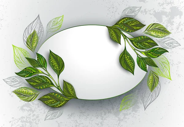 Owalny Sztandar Ozdobiony Wzorzystymi Zielonymi Liśćmi Pędami Herbaty Jasnym Tle — Wektor stockowy