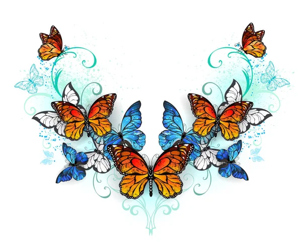 Modèle Symétrique Morpho Bleu Papillons Monarques Orange Sur Fond Blanc — Image vectorielle