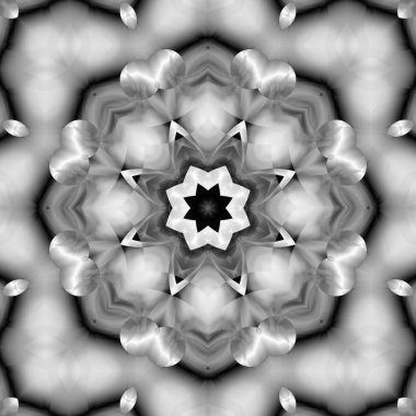 Siyah beyaz resimler fantezi unsurları ile. İnce yapısı duvar kağıdı, yüzey, formları. Çini motifi.