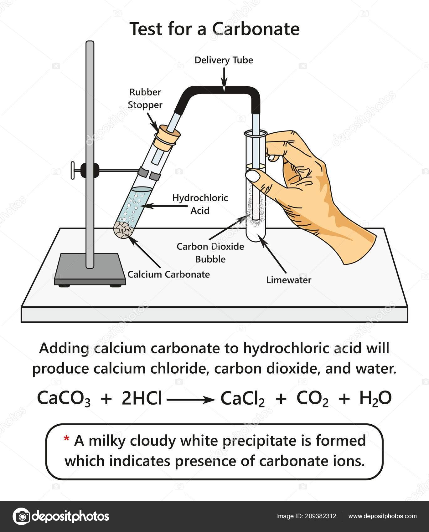 Test Carbonate Infographic Diagram Showing Laboratory ...