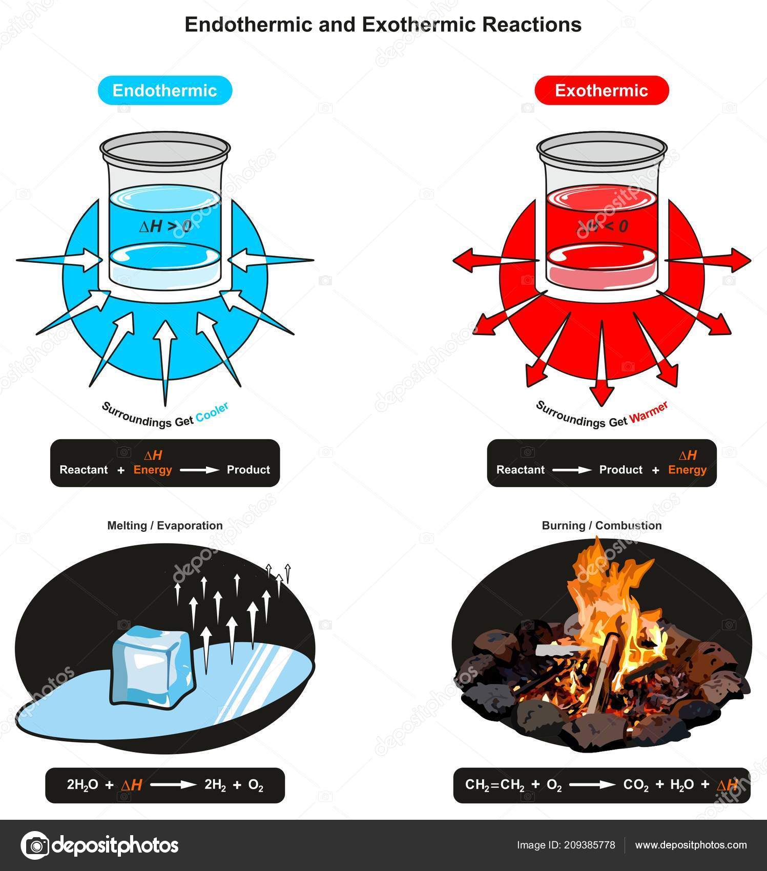 Endothermic Exothermic Reactions Infographic Diagram Showing Relation Reactant Energy Product Stock Vector Image by ©udaix #209385778 Endothermic Exothermic Reactions Infographic Diagram Showing Relation Reactant Energy Product Stock Vector Image by ©udaix #209385778