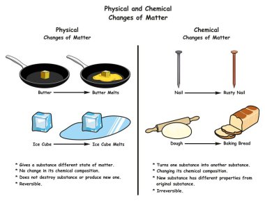 Physical and Chemical Changes of Matter infographic diagram a comparison with examples for each one including butter and ice cube melt rusty nail and dough to baked bread for science education clipart