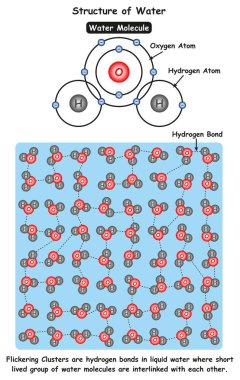 Molekül su ve oksijen ve hidrojen atomları arasındaki iyonik bağlar da titreşen gösterilen mikroskobik görünümü gösteren su Infographic diyagram yapısını Kimya Bilim Eğitim için kümeleri