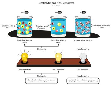 Elektrolit türü zayıf ve güçlü de karşılaştırma iletkenlik gösteren ve çözünmüş maddeler Kimya bilim eğitimi için elektrolit ve Nonelectrolyte çözümler Infographic diyagramı