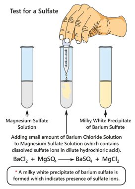 Bir laboratuvar deneyi sülfat iyonları magnezyum sülfat Kimya bilim eğitimi için Baryum klorür çözüm eklerken olduğunu gösteren gösteren bir sülfat Infographic diyagram için test