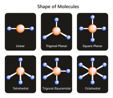Doğrusal trigonal düzlemsel kare düzlemsel dörtyüzlü trigonal bipyramidal de dahil olmak üzere molekülleri Infographic Diyagram şeklinde ve orbitallerinin Kimya bilim eğitimi için