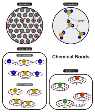 Chemical Bonds infographic diagram showing types of bonding including metallic hydrogen ionic polar and nonpolar covalent bonds for chemistry science education clipart