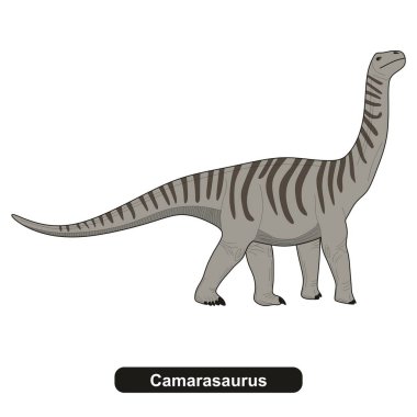 Camarasaurus dinozor nesli tükenmiş hayvan
