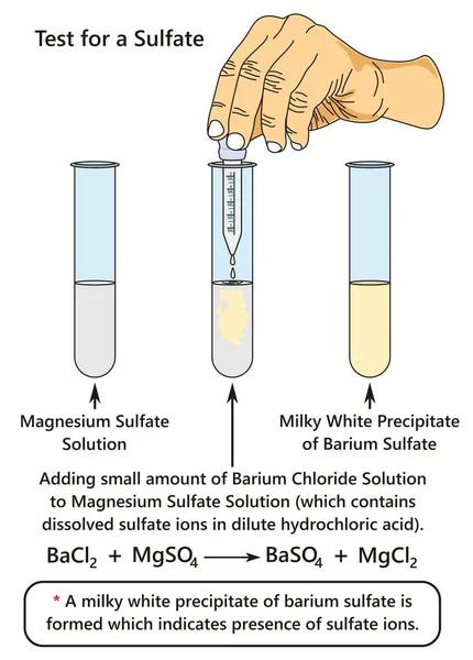 Bir laboratuvar deneyi sülfat iyonları magnezyum sülfat Kimya bilim eğitimi için Baryum klorür çözüm eklerken olduğunu gösteren gösteren bir sülfat Infographic diyagram için test