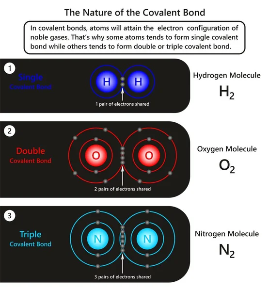Nature Covalent Bond Infographic Diagram Showing Examples Atoms Covalent Bond — Stock Vector