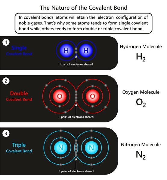 Инфографика The Nature of the Covalent Bond показывает примеры атомов в covalent bond, как некоторые из них, как правило, образуют единую связь, в то время как другие делают двойную или тройную для науки.
