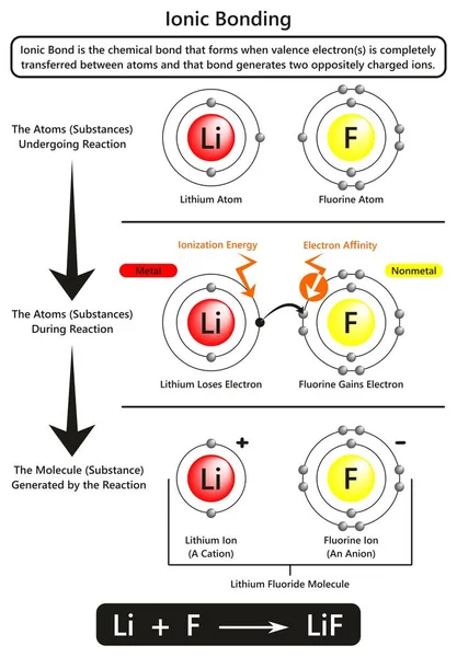 Schema Infografico Legame Ionico Con Esempio Legame Ionico Tra Gli — Vettoriale Stock