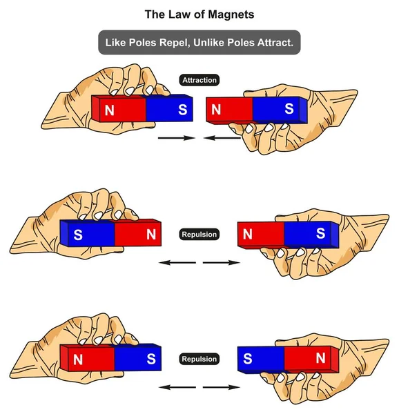 Lag Magneter Infographic Diagrammet Visar Exempel Liknande Stolpar Där Det — Stock vektor