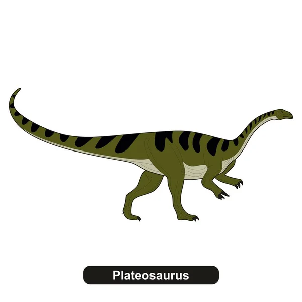 Plateosaurus Dinosaurie Utdöda Djur — Stock vektor
