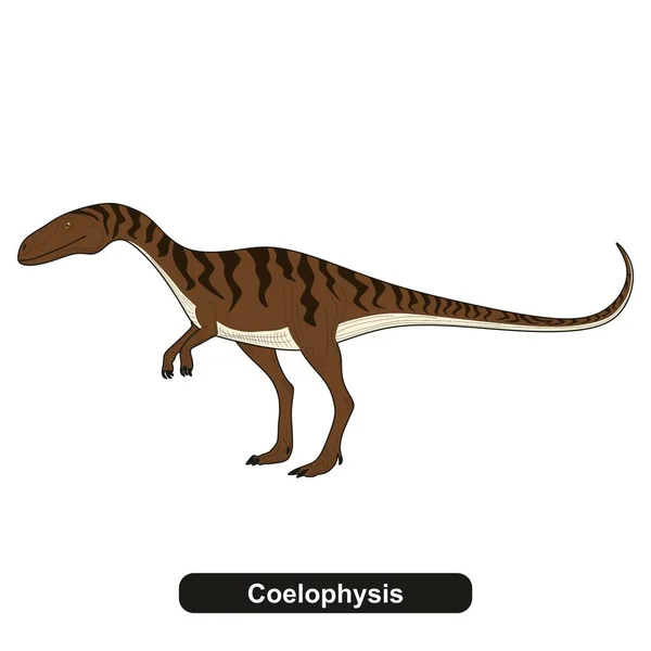 Coelophysis Dinosaura Vyhynulé Zvíře — Stockový vektor