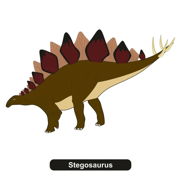 Extinto Dinossauro Stegosaurus Animal —  Vetores de Stock