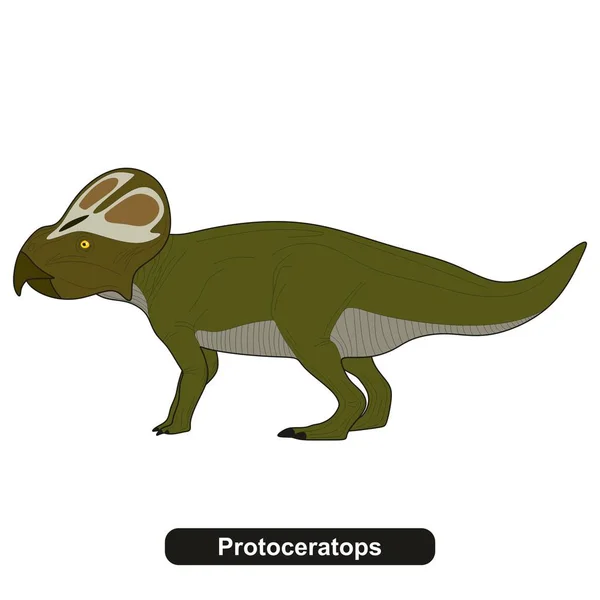 Protoceratops Dinoszaurusz Kihalt Állatok — Stock Vector