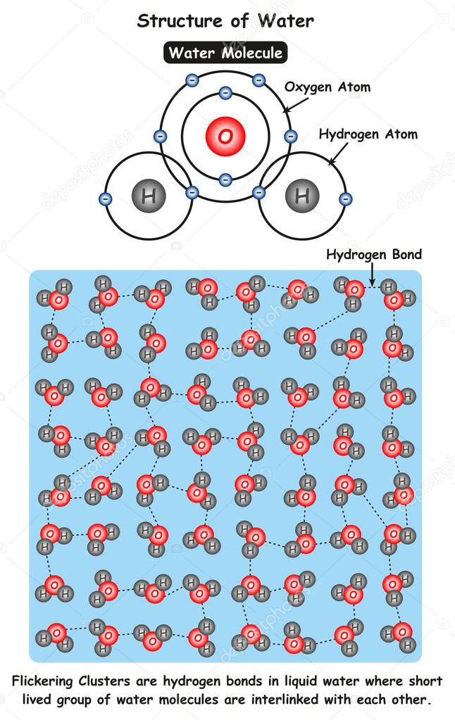 Structure of Water infographic diagram showing molecule of water and ionic bonds between oxygen and hydrogen atoms also microscopic view showing flickering clusters for chemistry science education