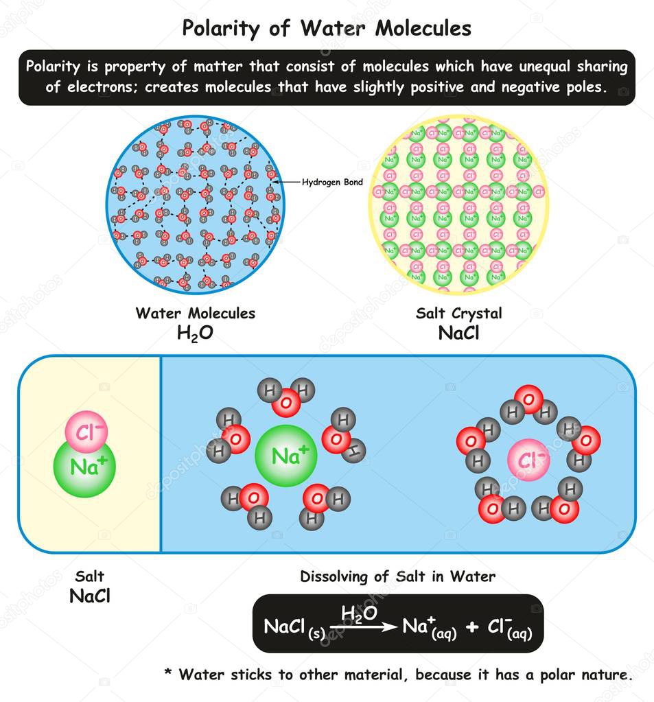 Polarity of Water Molecules infographic diagram showing its microscopic view along with crystal structure of salt and how it dissolve in water for chemistry science education
