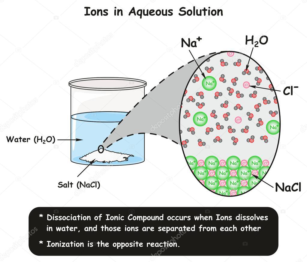 Ions in Aqueous Solution infographic diagram showing dissociation reaction of sodium chloride crystals in water and how ions separated for chemistry science education