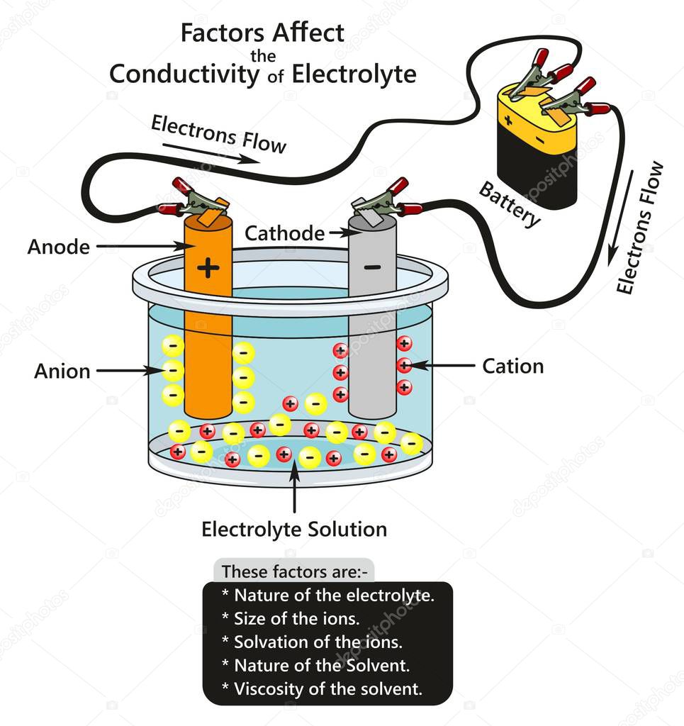 Factors Affect the Conductivity of Electrolyte infographic diagram showing a battery connected to cathode and anode in container contains electrolyte solution ions interaction for chemistry science