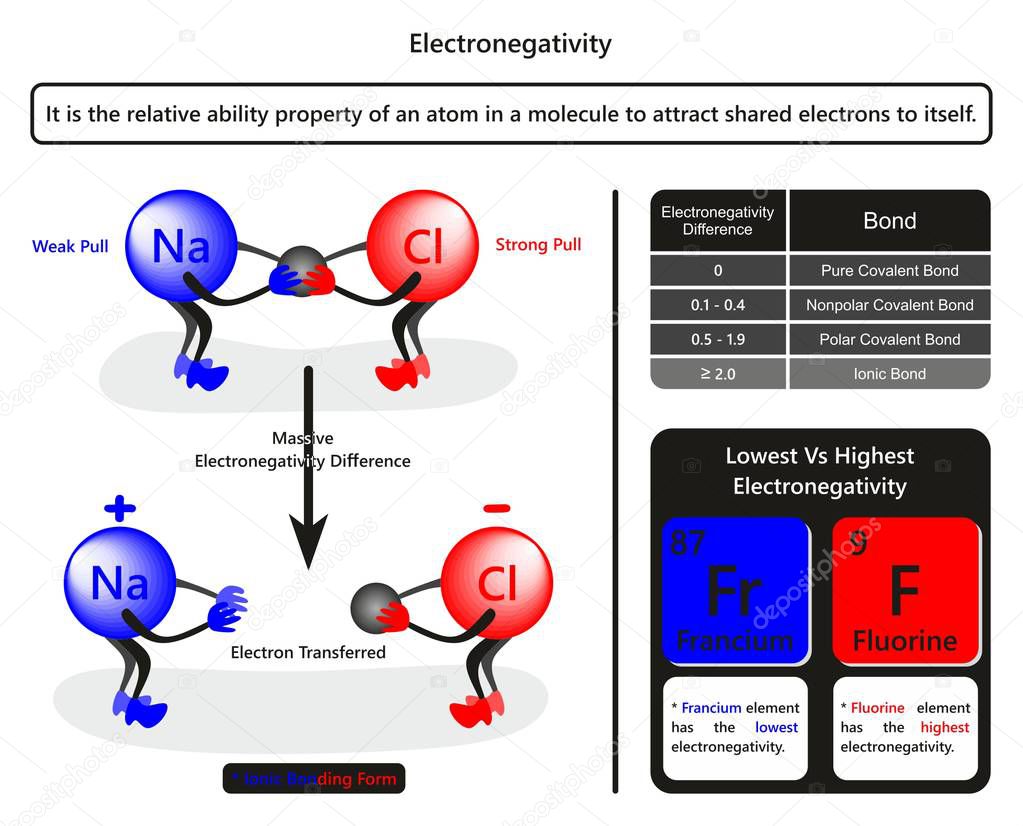 Electronegativity infographic diagram with example of sodium chloride showing how chlorine atom pull electron table related to bond forming due to electronegativity difference for chemistry education