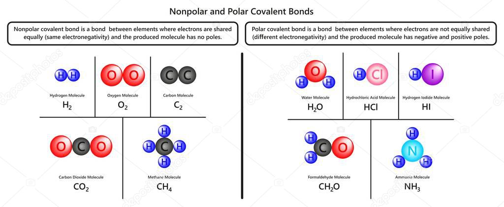 Nonpolar and Polar Covalent Bonds infographic diagram with examples of hydrogen oxygen carbon dioxide methane water formaldehyde and ammonia molecules for chemistry science education