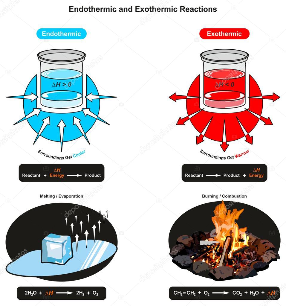 Endothermic and Exothermic Reactions infographic diagram showing relation between reactant energy and product also examples of ice cube melting and fire burning for chemistry science education
