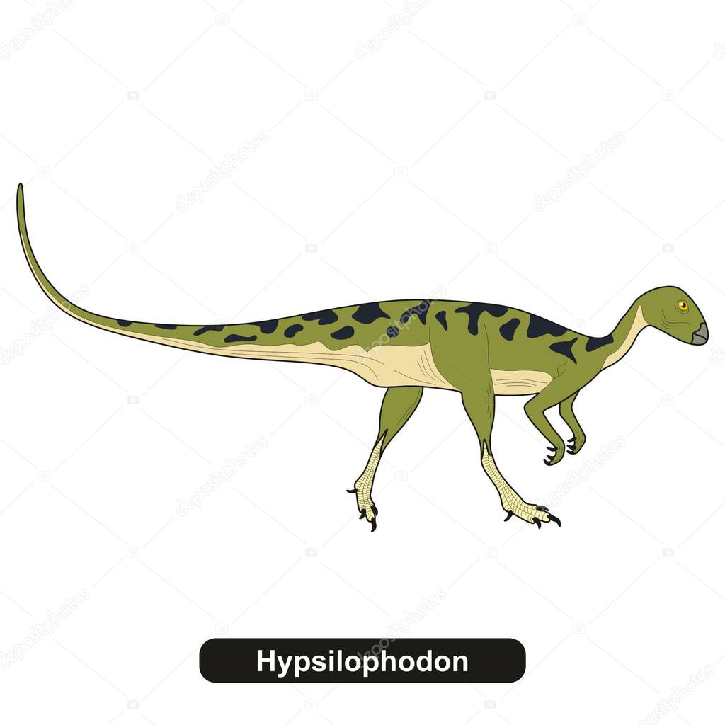 Hypsilophodon Dinosaur Extinct Animal