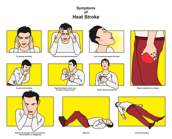 Symptome Eines Hitzschlags Infografik Diagramm Einschließlich Kopfschmerzen Schwindel Erbrechen Schneller — Stockvektor