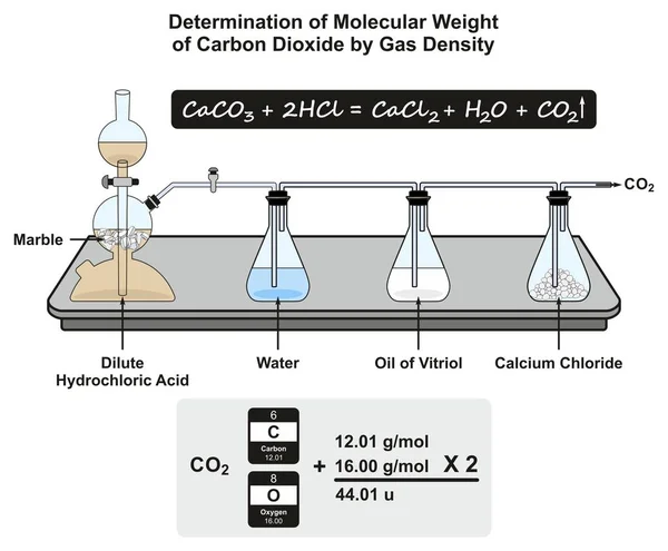 气体密度法测定二氧化碳的分子量图表图显示化学科学教育的公式和计算实验 — 图库矢量图片