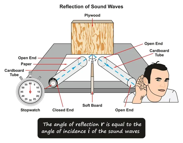 Рефлексия Звуковых Волн Показывающая Лабораторный Эксперимент Секундомер Помещен Картонную Трубку — стоковый вектор