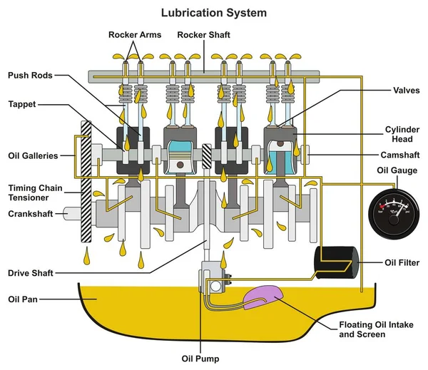 Sistema Lubrificação Veículo Diagrama Infográfico Mostrando Seção Transversal Motor Carro — Vetor de Stock