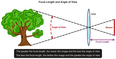 Ağacın önünde lens örneği onlarla fotoğraf ve Fizik Bilimleri Eğitim için sensör arasındaki ilişki gösteren odak uzaklığı ve görüş açısı Infographic diyagramı