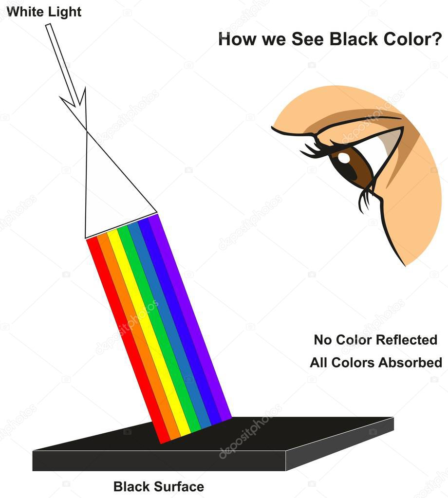 How we See Black Color infographic diagram showing visible spectrum light on surface and colors reflected or absorbed according to its color for physics science education