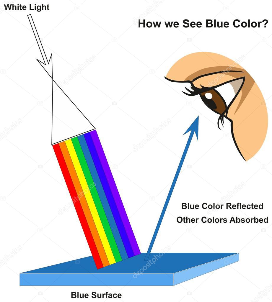 How we See Blue Color infographic diagram showing visible spectrum light on surface and colors reflected or absorbed according to its color for physics science education