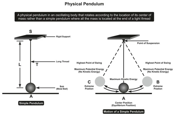 Physikalisches Pendelinfografisches Diagramm Das Seine Teile Und Bewegungen Zeigt Einschließlich — Stockvektor