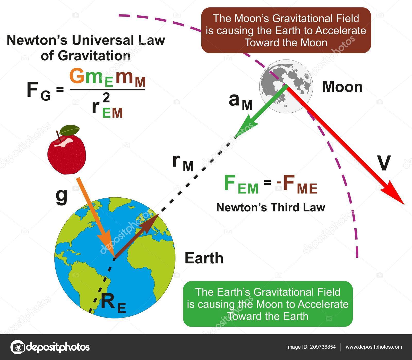 Newtons Universal Law Gravitation Infographic Diagram Formula Example Earth  Moon Stock Vector Image by ©udaix #209736854